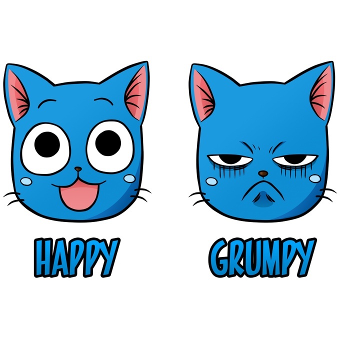 Funny Fairy Tail Kids T Shirt Happy And Grumpy Cat Fairy Tail Parody Ref815