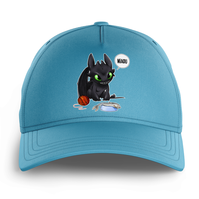 Casquette Enfant Bleue Clair Parodie Dragons Krokmou Apres Le Poisson Chat Le Dragon Chat Casquette De Qualite Superieure 1035 Imprime En France